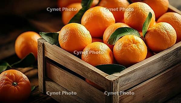 Fresh Mandarin Oranges Or Tangerines With Leaves In A Wooden Box - A Delightful And Vibrant Display Of Citrus Fruits, AI generated [IBR125229904]