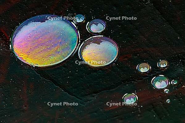 Ice structures in a puddle, Oldenburger Münsterland, Goldenstedt, Lower Saxony, Germany [IBR125237466]