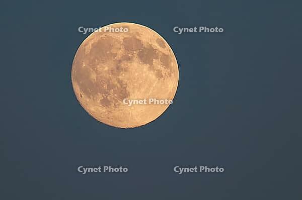 Moon, full moon, Vechta, Lower Saxony, Germany [IBR125237470]