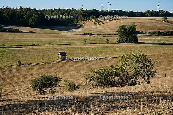 Parched meadows in the heat summer of 2026 near Oberspeltach, Frankenhardt-Oberspeltach, Frankenhardt, Burgbergturm, drought, heat stress, drought, climate change, summer, midsummer, August, pasture, Germany [IBR125237551]