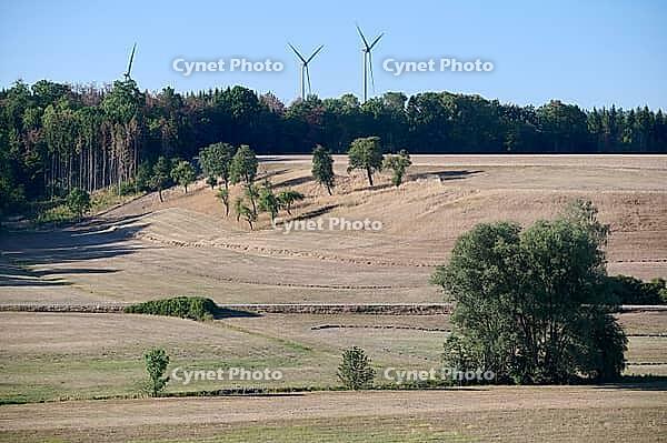 Parched meadows in the heat summer of 2026 near Oberspeltach, Frankenhardt-Oberspeltach, Frankenhardt, Burgbergturm, drought, heat stress, drought, climate change, summer, midsummer, August, Germany [IBR125237560]