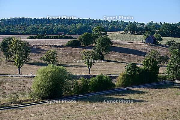 Parched meadows in the heat summer of 2026 near Oberspeltach, Frankenhardt-Oberspeltach, Frankenhardt, Burgbergturm, drought, heat stress, drought, climate change, summer, midsummer, August, Germany [IBR125237563]