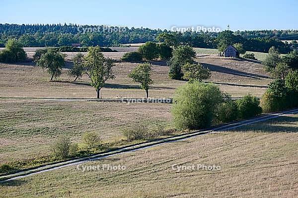 Parched meadows in the heat summer of 2026 near Oberspeltach, Frankenhardt-Oberspeltach, Frankenhardt, Burgbergturm, drought, heat stress, drought, climate change, summer, midsummer, August, Germany [IBR125237564]