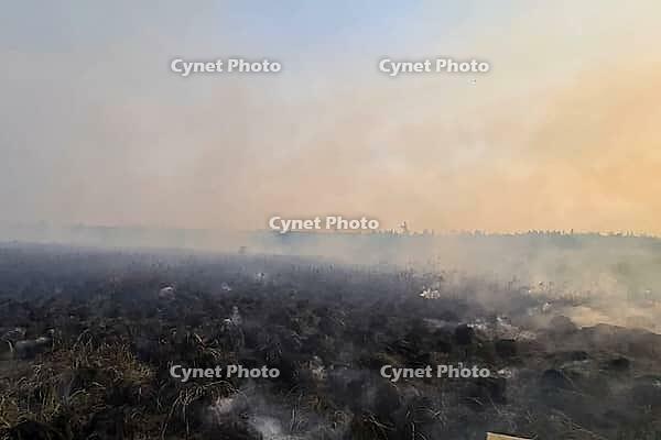 Fire in the swamp in front of the forest. Yauta fires. Yakutsk, Russia [IBR125242433]
