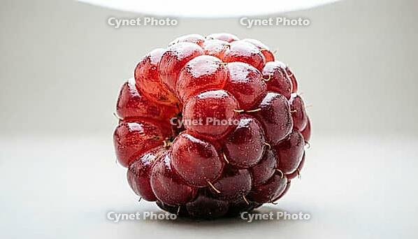 Fresh berry with a plump, glossy, unremarkable surface, food safety and produce contamination concept, studio shot, AI generated [IBR125242464]