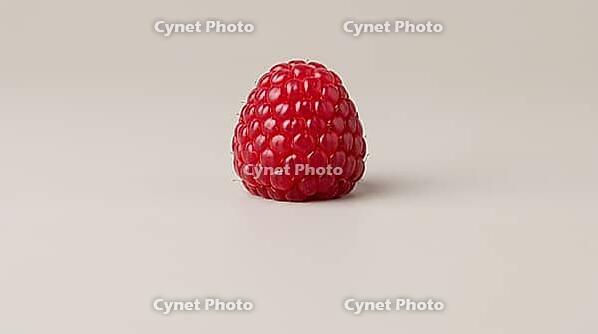 Fresh berry with a plump, glossy, unremarkable surface, food safety and produce contamination concept, studio shot, AI generated [IBR125242468]