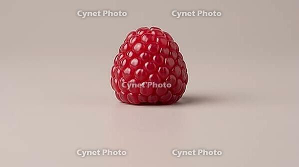 Fresh berry with a plump, glossy, unremarkable surface, food safety and produce contamination concept, studio shot, AI generated [IBR125242475]