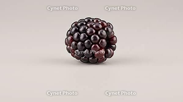Fresh berry with a plump, glossy, unremarkable surface, food safety and produce contamination concept, studio shot, AI generated [IBR125242480]