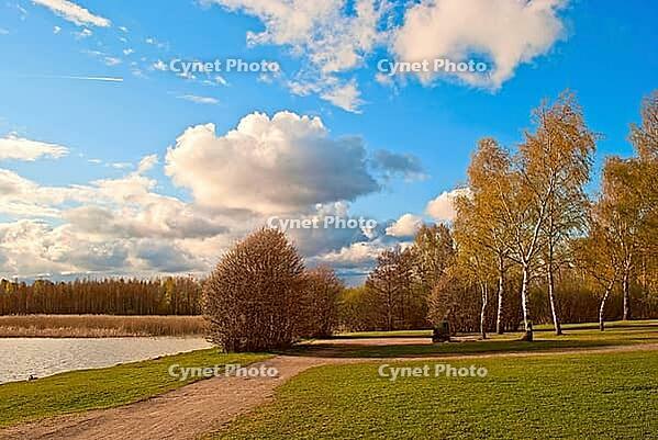 Part of the city park on the shore of the lake on a sunny autumn day. City of Järvenpää, Finland [IBR125261555]