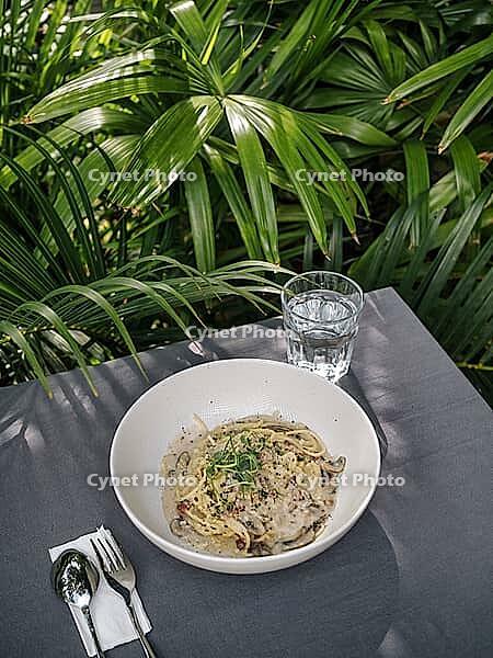 Spaghetti Carbonara and coconut under palm tree [IBR125261567]