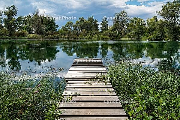 A view of a lake with a jetty near Allstedt in Saxony-Anhalt [IBR125261586]