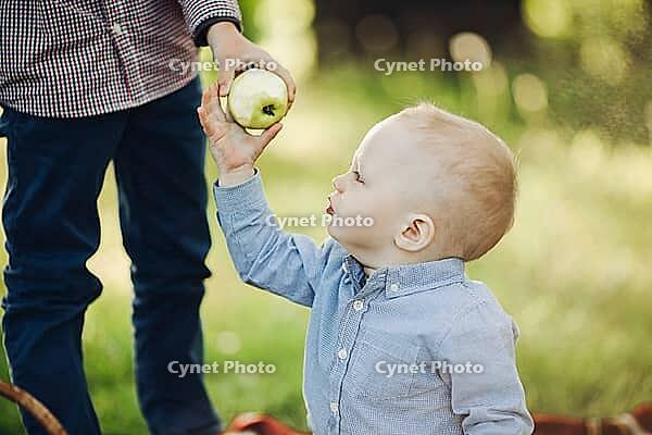 Crop of parent giving for little baby boy apple, walking together in summer park. Little boy in blue cap wearing in checked shirt smiling and having fun outside in nature. Summertime concept [IBR125261607]
