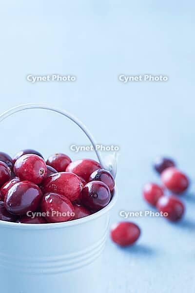 Fresh cranberries in a white bucket on a blue wooden table [IBR125280295]
