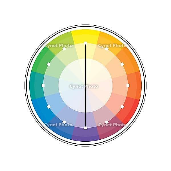 Polychrome Multicolor Spectral Versicolor Rainbow Circle of 12 segments. The spectral harmonic colorful palette of the painter [IBR125280314]