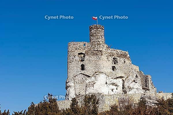 Ruins of castle in Mirow from XIV century Poland [IBR125280328]