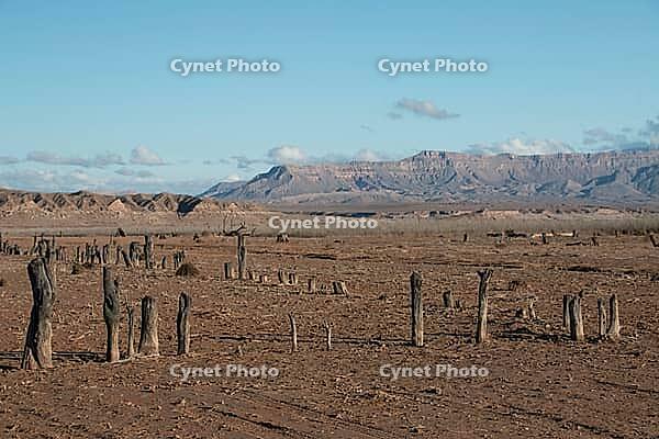 Abandoned Ghost city St Thomas in Lake Mead national recreation area, Nevada, USA [IBR125280361]
