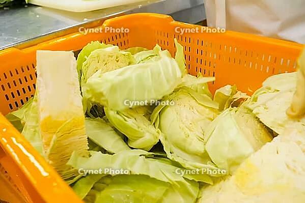 Workers in gloves are engaged in cutting and cleaning the heads of white cabbage with subsequent shredding for cooking [IBR125280363]