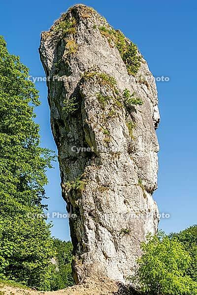 Rock [IBR125280372]