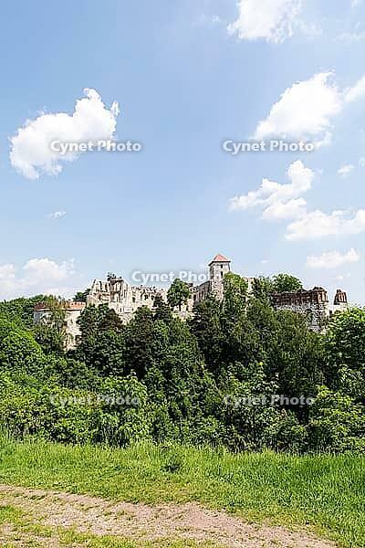 Ruins of castle Tenczyn in Rudno near Krzeszowice Poland [IBR125280373]