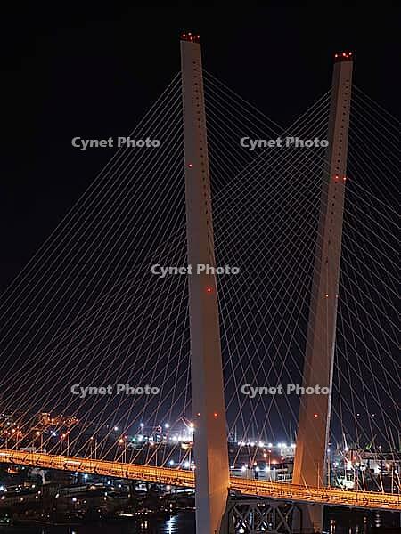 Night view of the bridge in the Russian Vladivostok over the Golden Horn bay [IBR125304664]