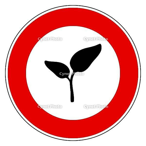 Pflanze und Verbotsschild - Plant and prohibition sign [IBR125304665]