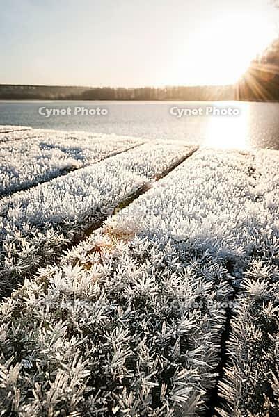 Hoar frost ice crystals close-up on wooden surface by lake Lohjanjärvi, Lohja, Finland [IBR125324060]