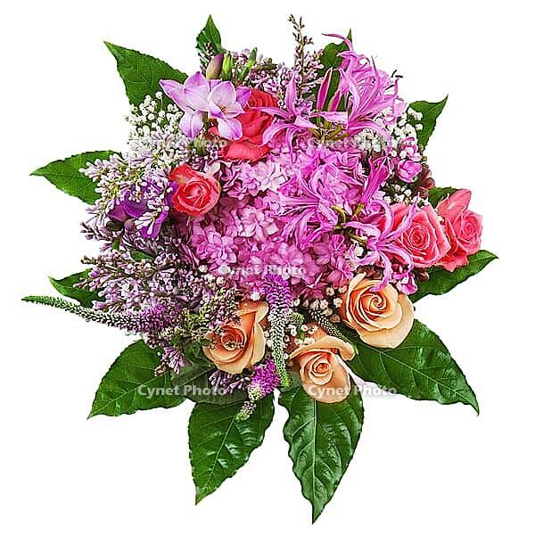 Floral bouquet of roses, lilies and orchids isolated on white background. Closeup [IBR125324074]