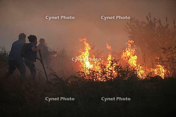 Kostinbrod, Bulgaria - July 21, 2025: Firefighters and volunteers extinguish a fire in a wheat field and trees near the town of Kostinbrod, Bulgaria [IBR125324081]