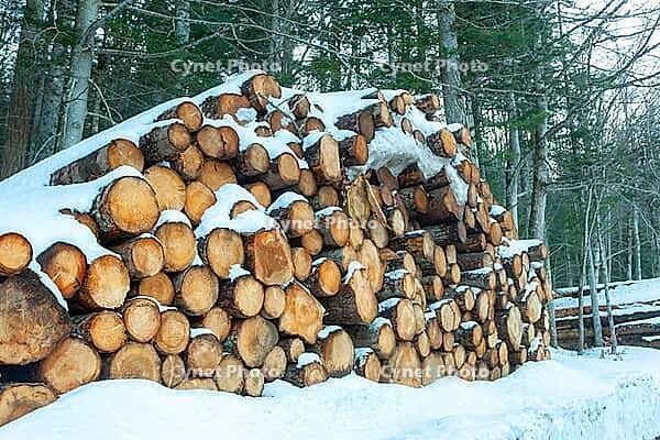 Logs of wood cut and stacked in the mountains under the snow [IBR125324125]