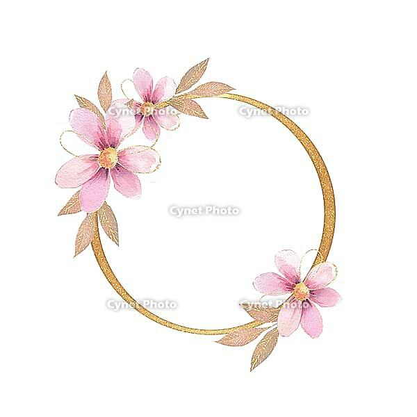 Golden round frame with white rose. Floral Wedding card decor. Element for design [IBR125331118]
