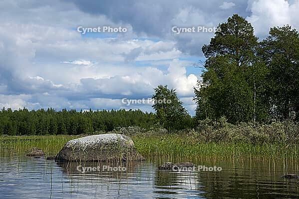 The beautiful picture of Karelian forest at the edge of a lake, and some huge boulder in this lake [IBR125331130]