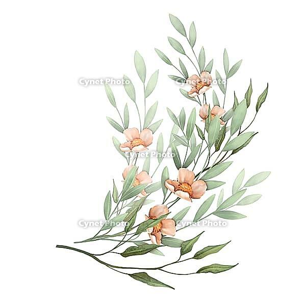 Decorative floral branches. Floral illustration with leaves and flowers. Botanical composition [IBR125331165]