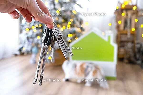 Keys in hand on background fairy lights Christmas tree and tiny house gift and cat for New Year, Christmas. Building, design, project, moving, insurance, mortgage, rent and purchase real estate [IBR125331212]
