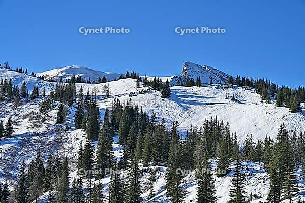 Snowy alpine landscape with the Gscheideggkogel and dense coniferous forest under bright blue sky, Styria, Austria [IBR125344233]
