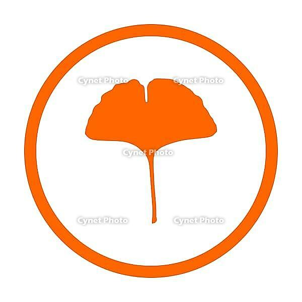 Ginkgo Blatt und Kreis - Ginkgo leaf and circle [IBR125344239]
