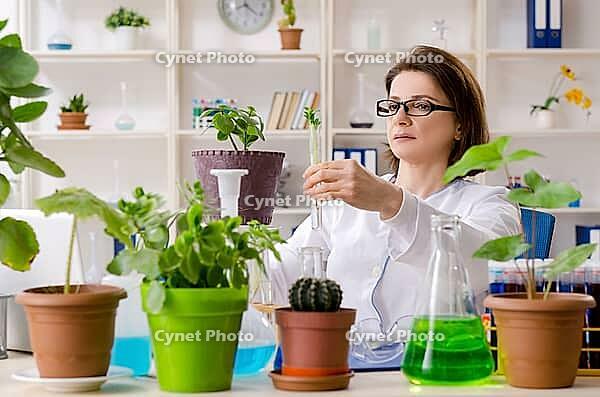 Old biotechnology chemist working in laboratory [IBR125382588]