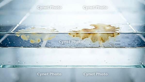 Solar panel encapsulant layer with hazy yellowish-brown internal discoloration patches beside clear transparent zones, extreme macro cross-section photography, AI generated [IBR125395936]