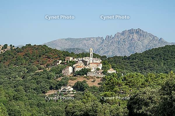 View from department road D5 of the picturesque mountain village of Lento with its traditional natural stone houses and the slender church tower in front of the jagged rock peaks of the Aiguilles de Popolasca in the Monte Cinto massif under a blue sky, Le [IBR125405016]