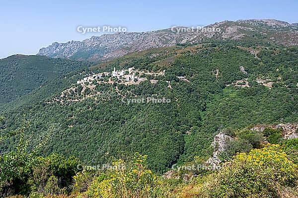 Panoramic view of the serpentine curve of the department road D5 above the village of Lento with its bright natural stone houses and the church tower visible from afar amidst densely wooded mountain slopes and scrub against the imposing mountain backdrop  [IBR125405042]