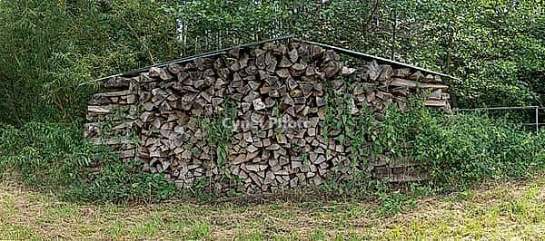 Stacked logs on the edge of a forest behind a meadow, Leimbach, Thurgau, Switzerland [IBR125405081]