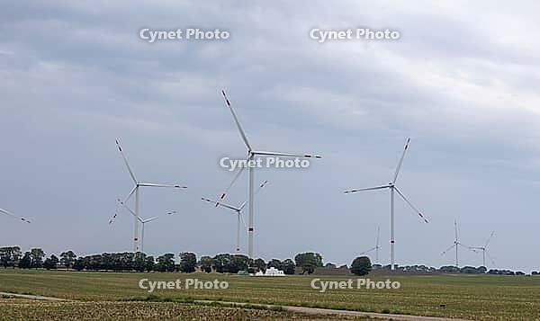 An extensive wind farm with numerous wind turbines characterizes the flat agricultural landscape in Schleswig-Holstein. Under a cloudy sky, the facilities stand between fields and rows of trees. Symbolic picture of wind energy, energy transition, climate  [IBR125405084]