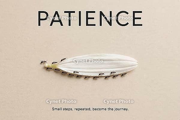 Poster for wall symbolizing patience and inner peace, expressing calm, endurance, and spiritual growth through time, AI generated [IBR125405096]