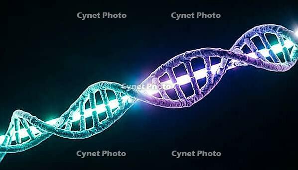 Abstract single glowing DNA strand with teal to violet color seam marking ligation join, dark background, studio shot, AI generated [IBR125407409]