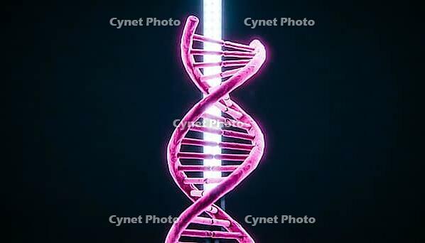 Abstract vertical glowing magenta DNA strand unwinding into exposed sticky end overhang, dark background, studio shot, AI generated [IBR125407429]