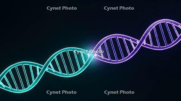 Abstract single glowing DNA strand with teal to violet color seam marking ligation join, dark background, studio shot, AI generated [IBR125407435]