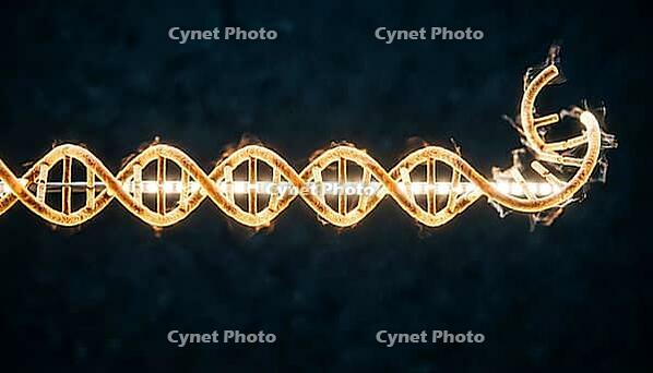 Abstract glowing amber DNA strand with exposed single strand sticky end overhang, dark background, studio shot, AI generated [IBR125407447]