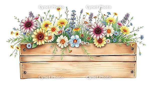 Colourful garden flowers come alive from a natural wooden box and spread happiness, painting floral motif, AI generates, AI generated [IBR125407453]