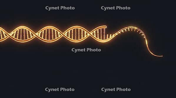 Abstract glowing amber DNA strand with exposed single strand sticky end overhang, dark background, studio shot, AI generated [IBR125407456]