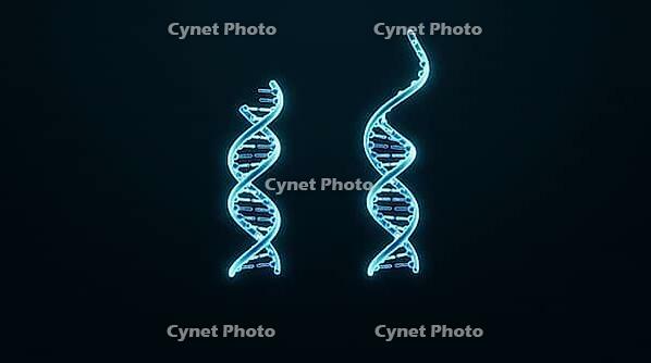 Abstract side by side comparison of short and long glowing DNA sticky end overhangs, dark background, studio shot, AI generated [IBR125407459]