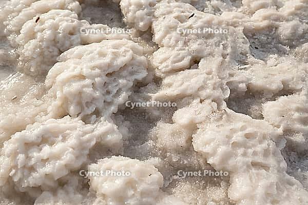 Close-up of naturally crystallized salt on the ground on the shore of a salt lake [IBR125411086]